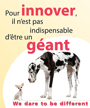 Innover Le Sanglier