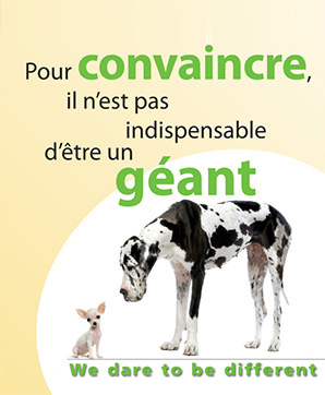 Innover Le Sanglier