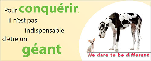 Des solutions